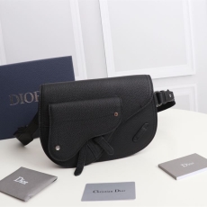 Christian Dior Waist Chest Packs